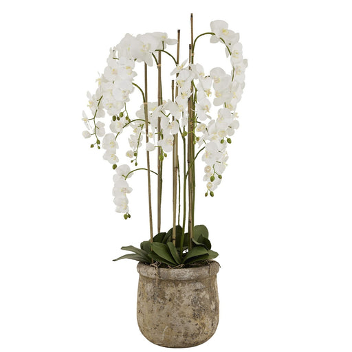 Floor Standing White Orchids In Antique Stone Pot - 5 Foot Tall - The Furniture Mega Store 