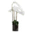 Extra Large White Artificial Orchid In Glass Pot - 126cm Tall - The Furniture Mega Store 