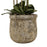 Floor Standing White Orchids In Antique Stone Pot - 5 Foot Tall - The Furniture Mega Store 