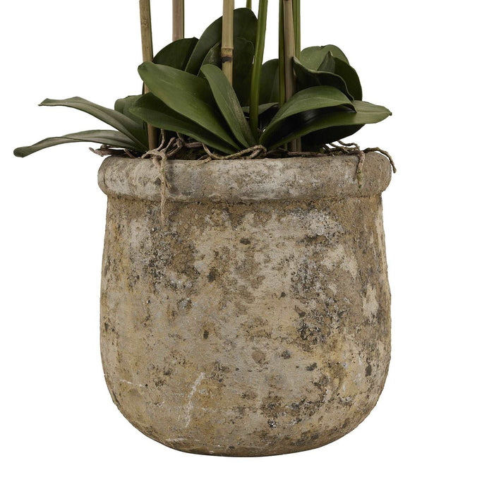 Floor Standing White Orchids In Antique Stone Pot - 5 Foot Tall - The Furniture Mega Store 