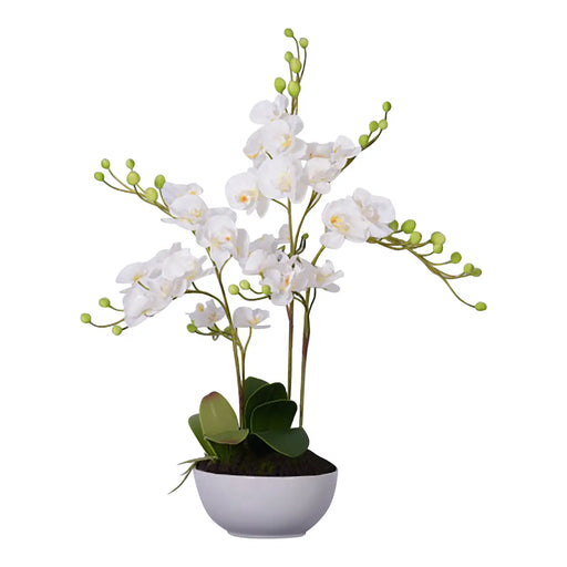 Extra Large Real Touch White Orchid Plant In Ceramic Pot - 81cm Tall - The Furniture Mega Store 