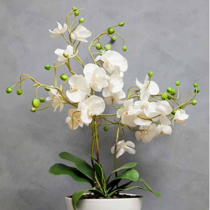 Extra Large Real Touch White Orchid Plant In Ceramic Pot - 81cm Tall - The Furniture Mega Store 