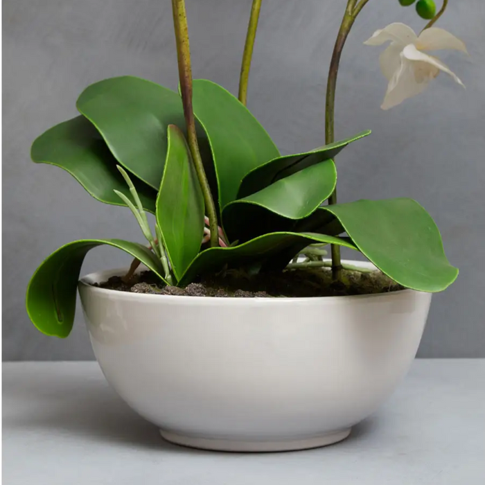 Extra Large Real Touch White Orchid Plant In Ceramic Pot - 81cm Tall - The Furniture Mega Store 