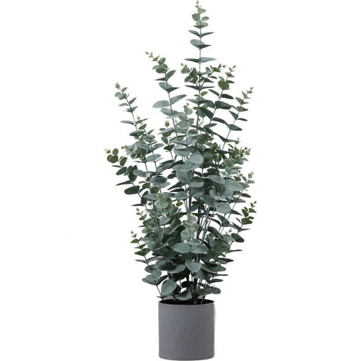 Large Potted Artificial Eucalyptus Bush - The Furniture Mega Store 