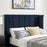 Alegra Navy Blue 4"6 Double Bed - The Furniture Mega Store 