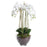 Large White Orchid In Glass Pot - 88cm Tall - The Furniture Mega Store 