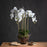 Large White Orchid In Glass Pot - 88cm Tall - The Furniture Mega Store 