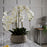Large Luxury White Orchid In Grey Stone Pot  - 90cm - The Furniture Mega Store 