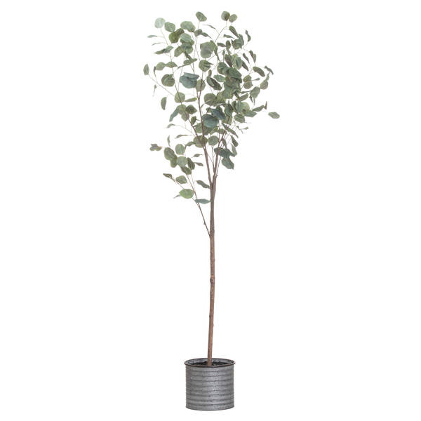 Large Eucalyptus Tree In Metallic Pot - The Furniture Mega Store 