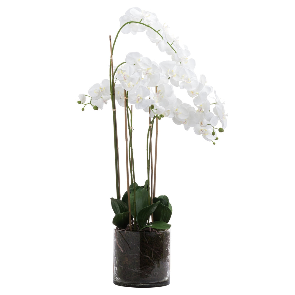 Extra Large White Artificial Orchid In Glass Pot - 126cm Tall - The Furniture Mega Store 