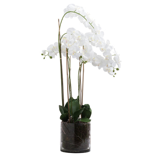 Extra Large White Artificial Orchid In Glass Pot - 126cm Tall - The Furniture Mega Store 