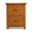 Earlswood Solid Oak 2 Drawer Filling Cabinet - The Furniture Mega Store 