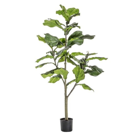 Tall Artificial Fiddle Leaf Tree - 180cm - The Furniture Mega Store 