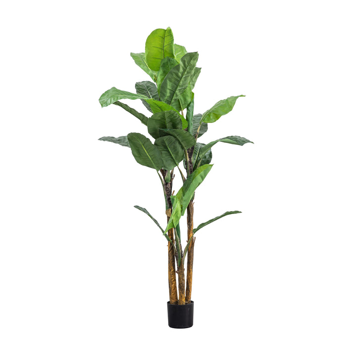 Extra Large Artificial Banana Palm - 203cm Tall - The Furniture Mega Store 