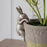 Silver Harry The Hare Pot Hanger - Set Of 2 - The Furniture Mega Store 