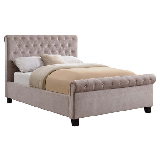 Orbit Mink Velvet 4'6 Double Bed - The Furniture Mega Store 